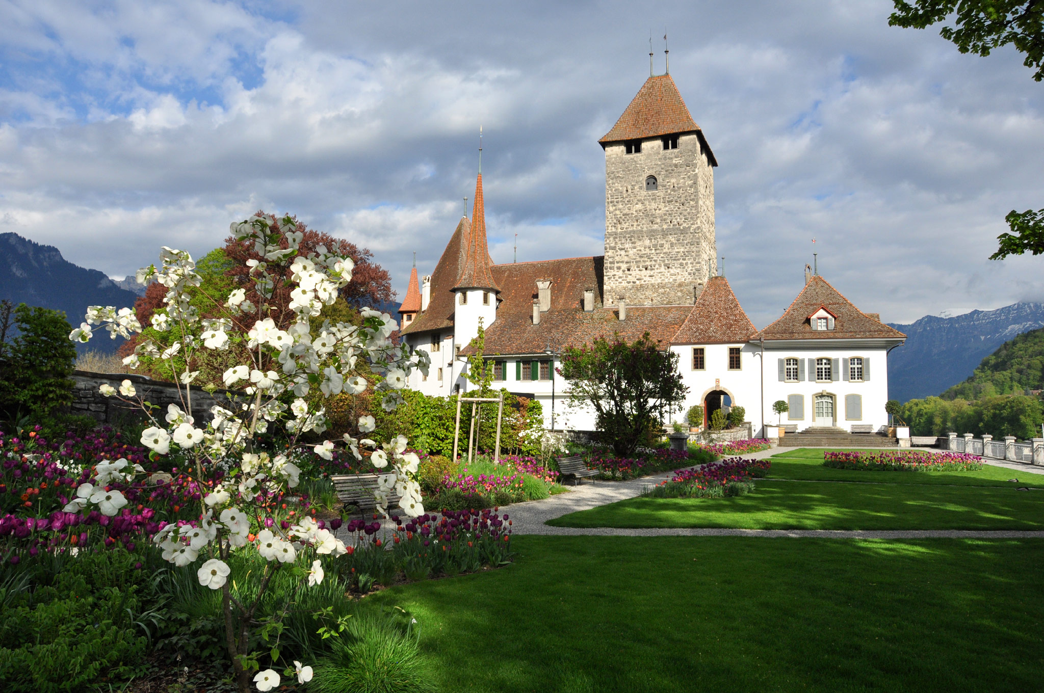 Spiez